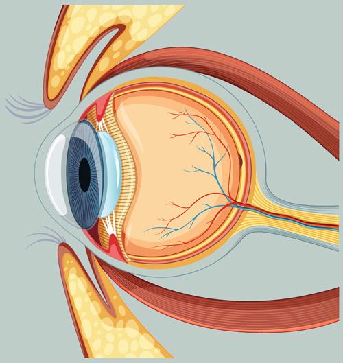 Argon laser selective trabeculoplasty for open angle glaucoma